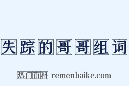失踪的哥哥组词是什么意思的图片